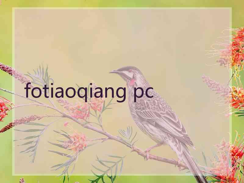 fotiaoqiang pc