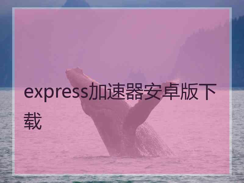 express加速器安卓版下载