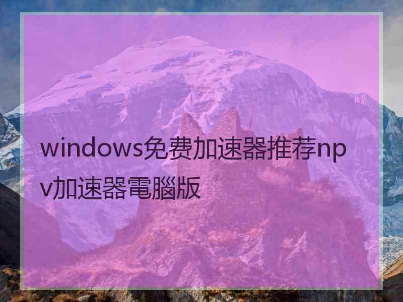 windows免费加速器推荐npv加速器電腦版