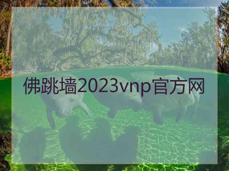 佛跳墙2023vnp官方网