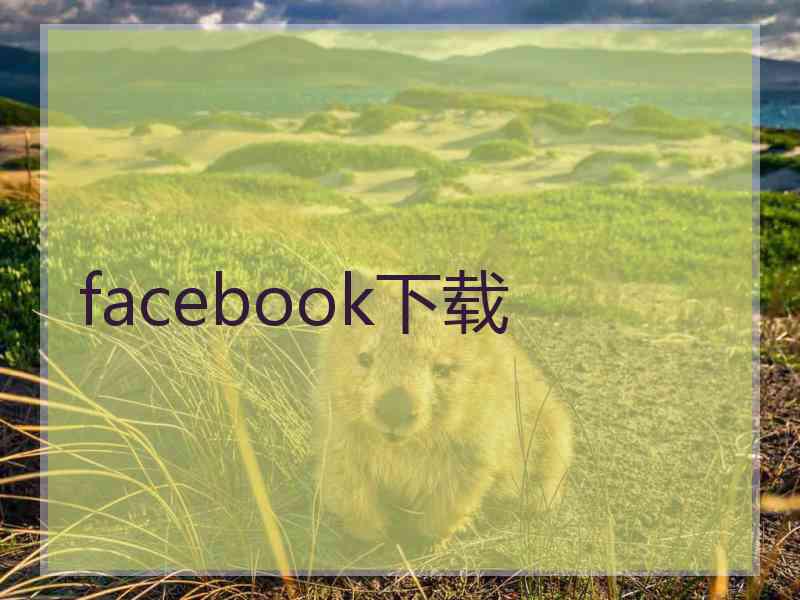 facebook下载