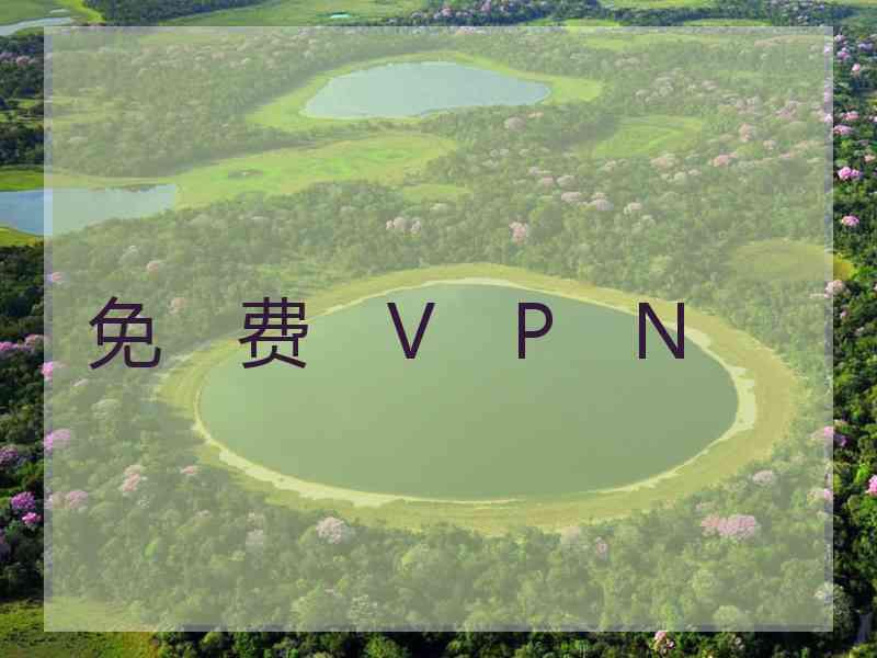 免　费　V　P　N