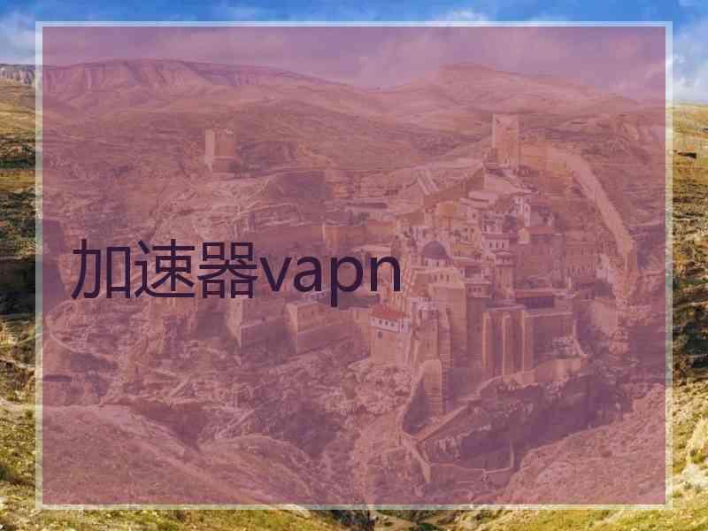 加速器vapn