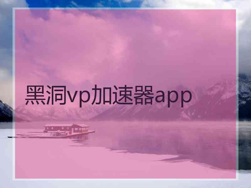 黑洞vp加速器app