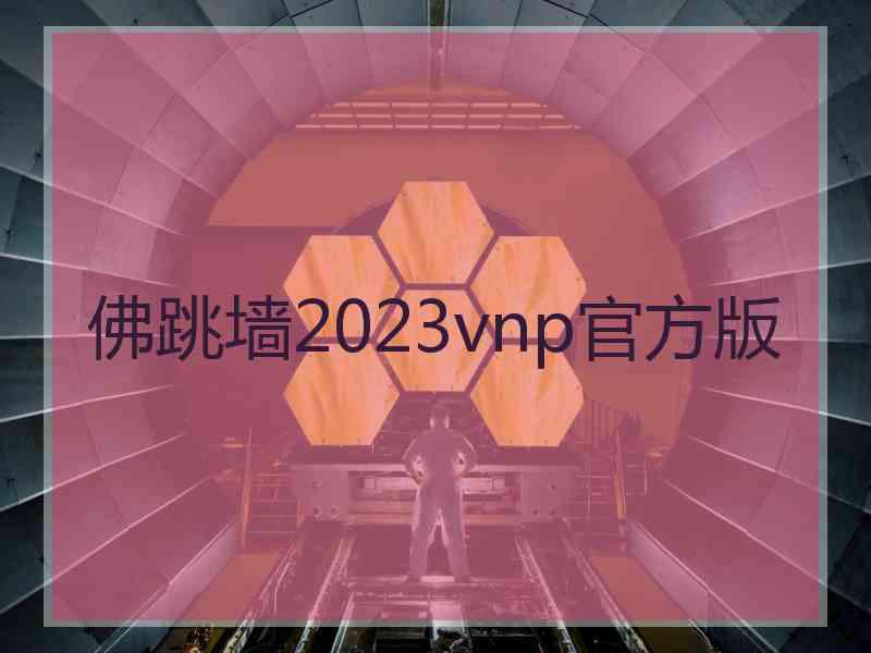 佛跳墙2023vnp官方版