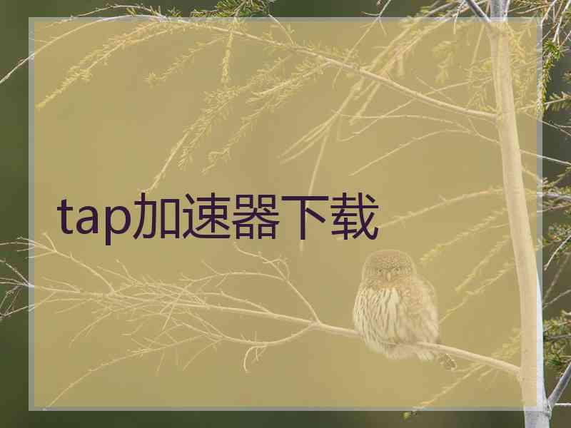 tap加速器下载