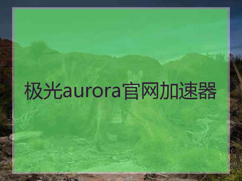 极光aurora官网加速器