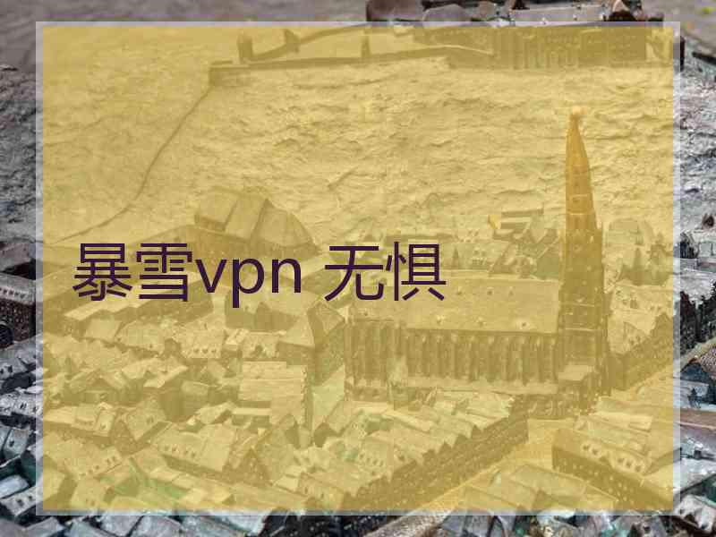 暴雪vpn 无惧