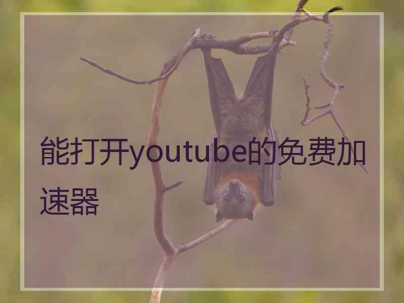 能打开youtube的免费加速器