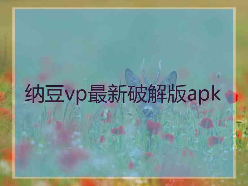 纳豆vp最新破解版apk