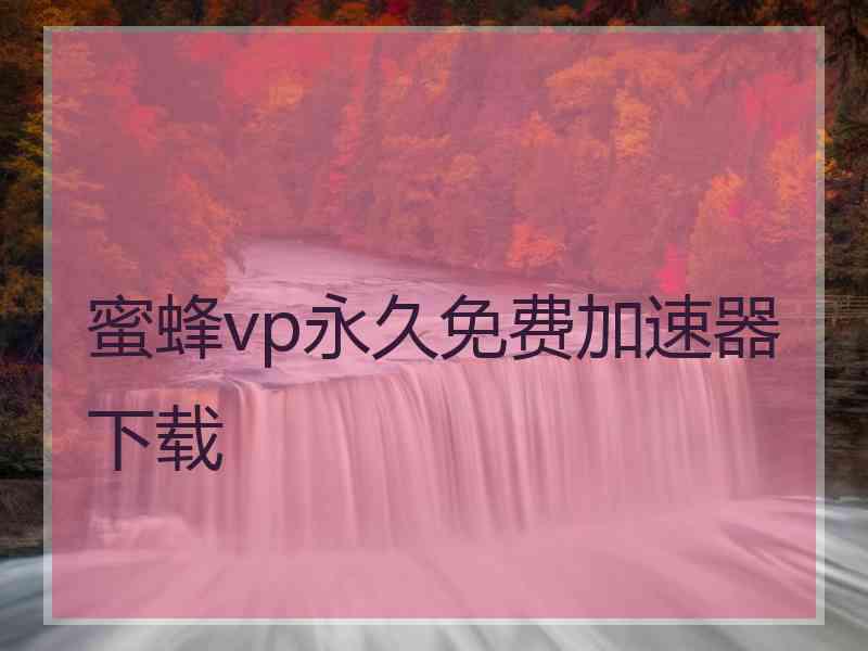 蜜蜂vp永久免费加速器下载