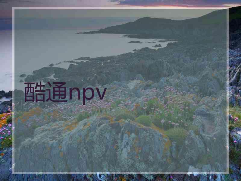 酷通npv