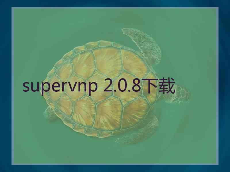 supervnp 2.0.8下载