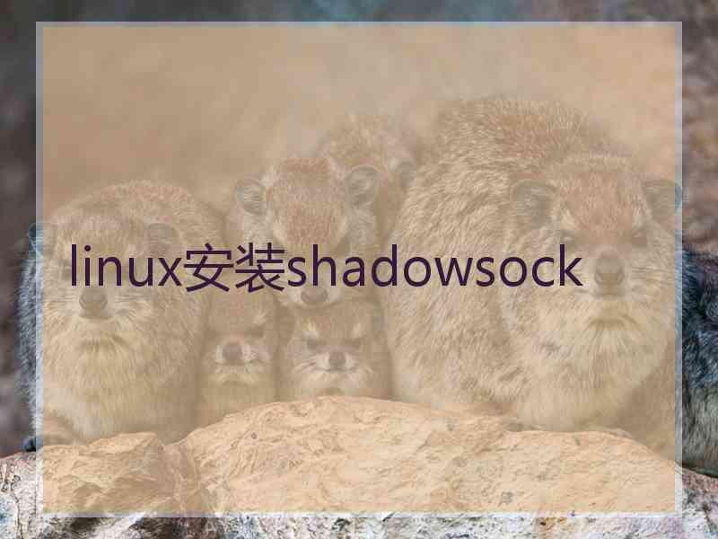 linux安装shadowsock