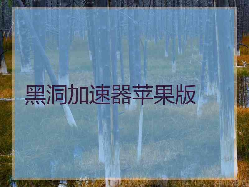 黑洞加速器苹果版