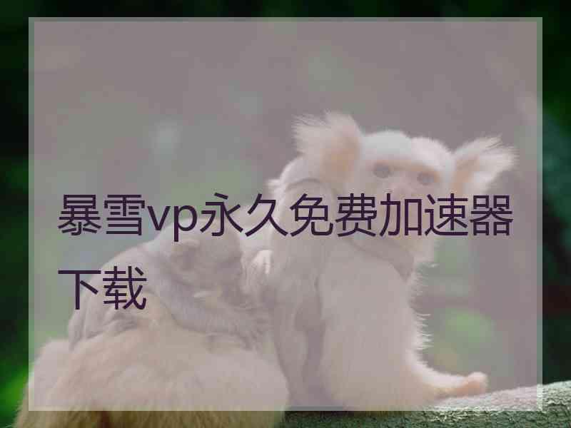 暴雪vp永久免费加速器下载