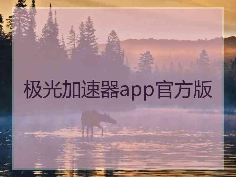 极光加速器app官方版