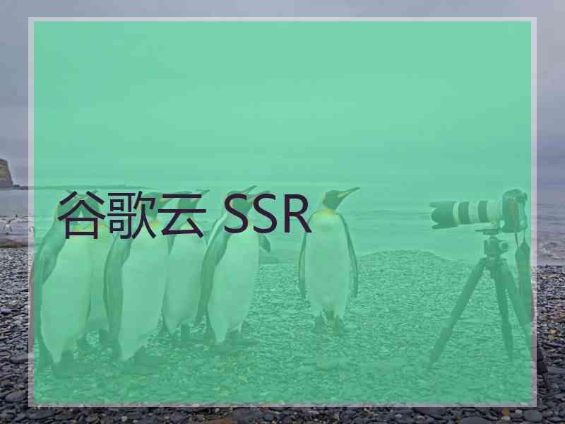 谷歌云 SSR