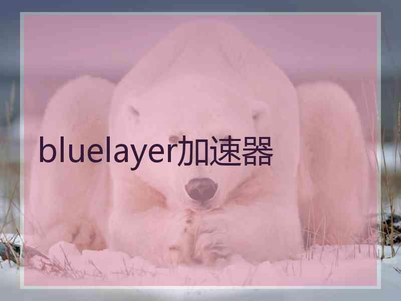 bluelayer加速器