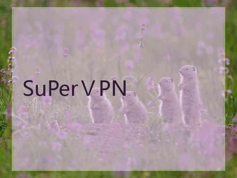 SuPerⅤPN