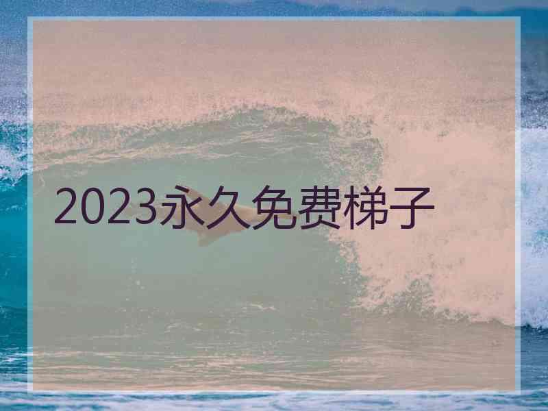 2023永久免费梯子