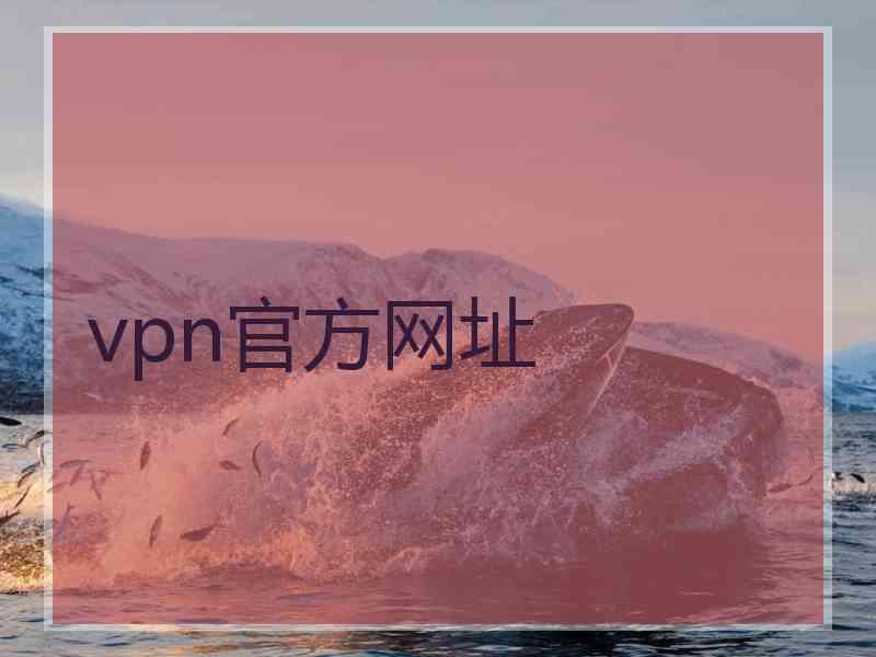 vpn官方网址