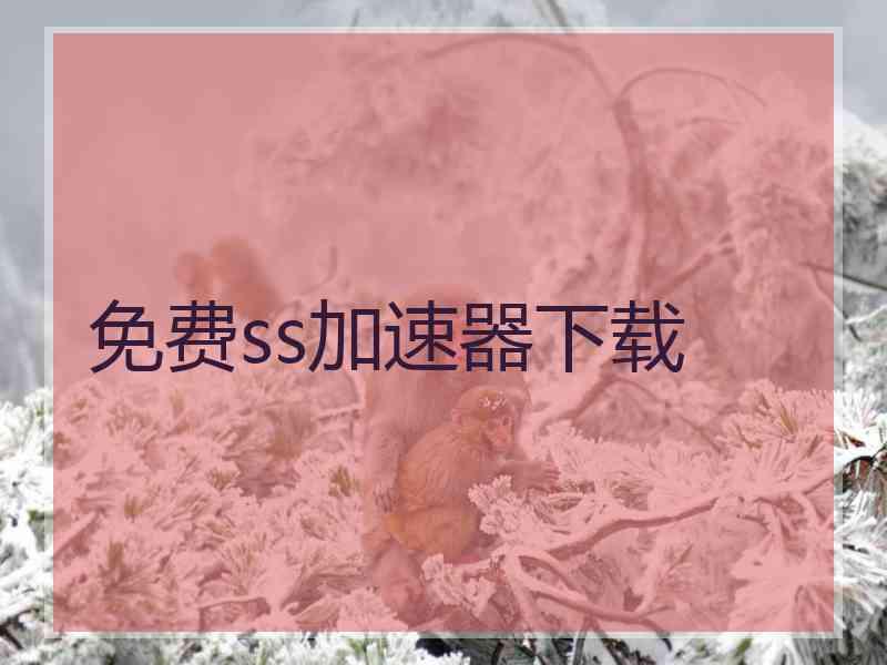 免费ss加速器下载