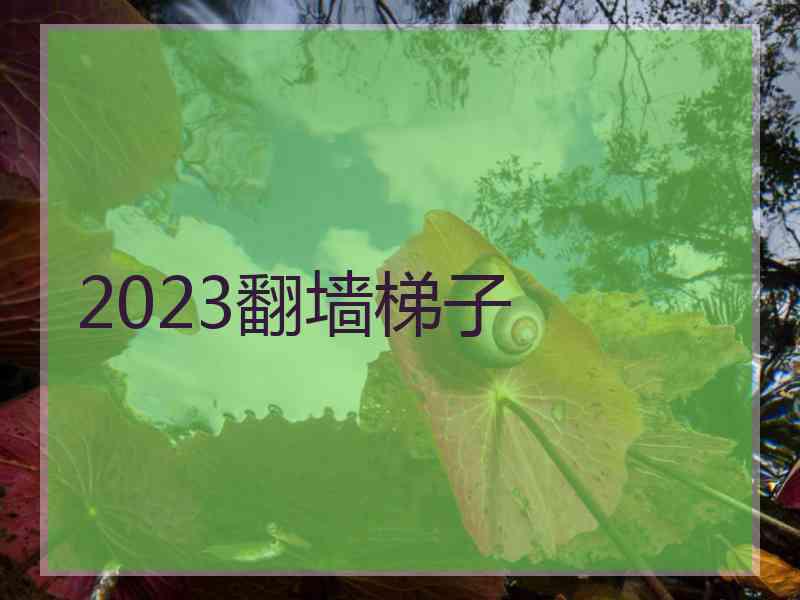 2023翻墙梯子