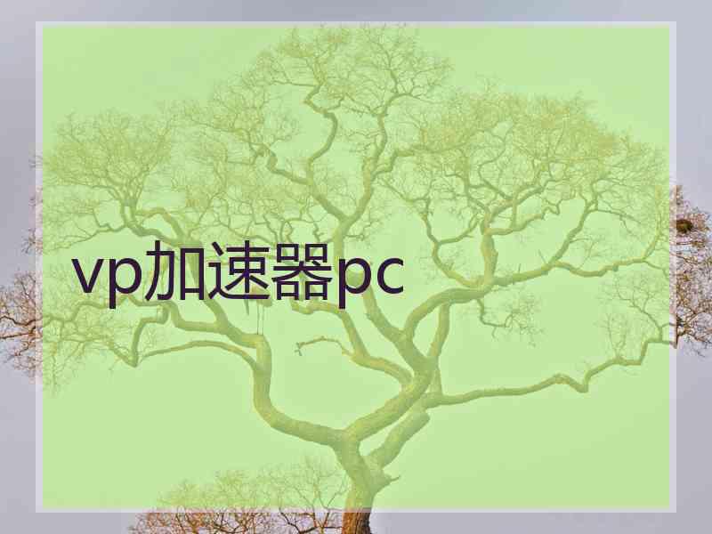 vp加速器pc