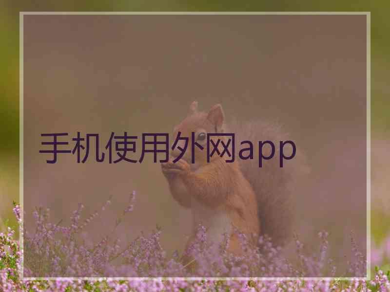 手机使用外网app