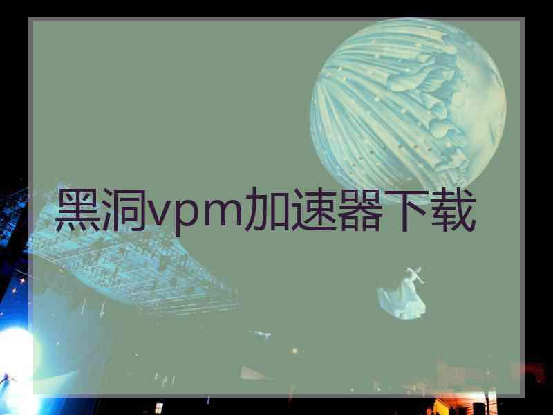 黑洞vpm加速器下载