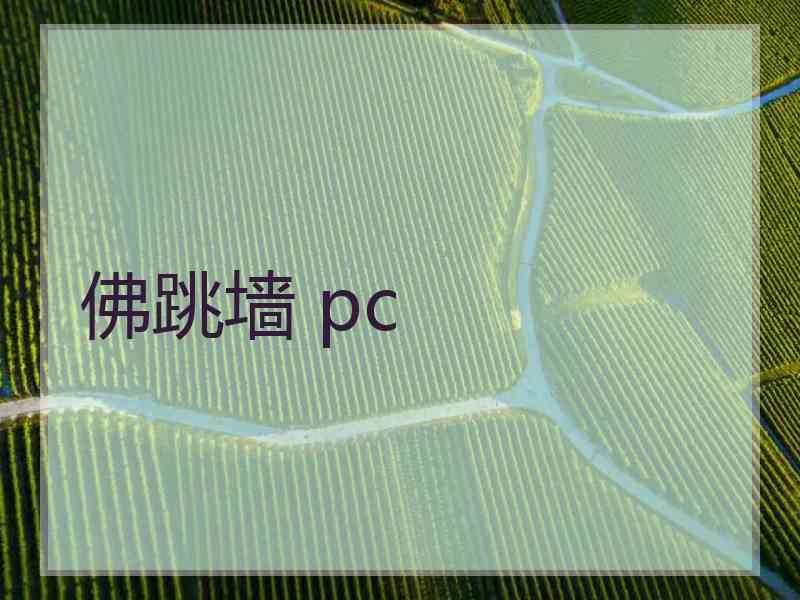 佛跳墙 pc