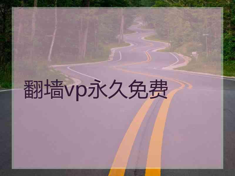 翻墙vp永久免费