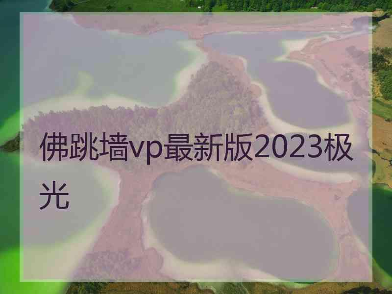 佛跳墙vp最新版2023极光