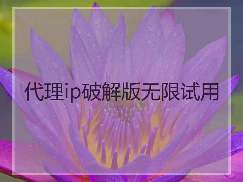 代理ip破解版无限试用