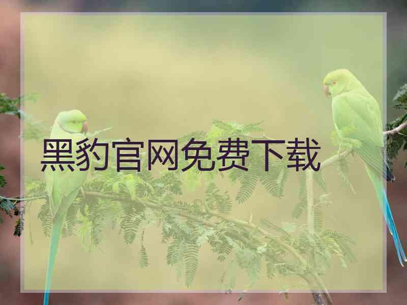 黑豹官网免费下载