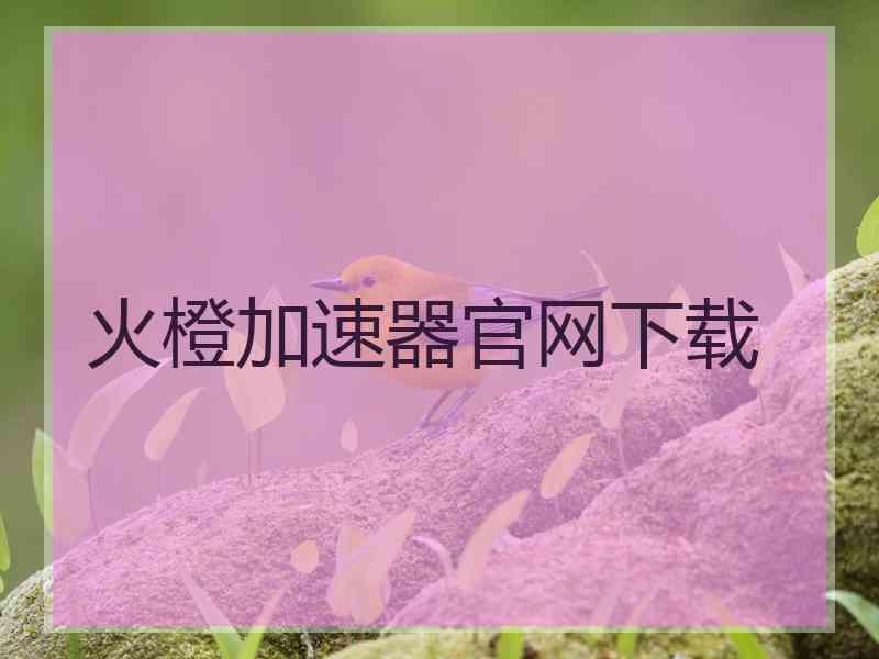 火橙加速器官网下载