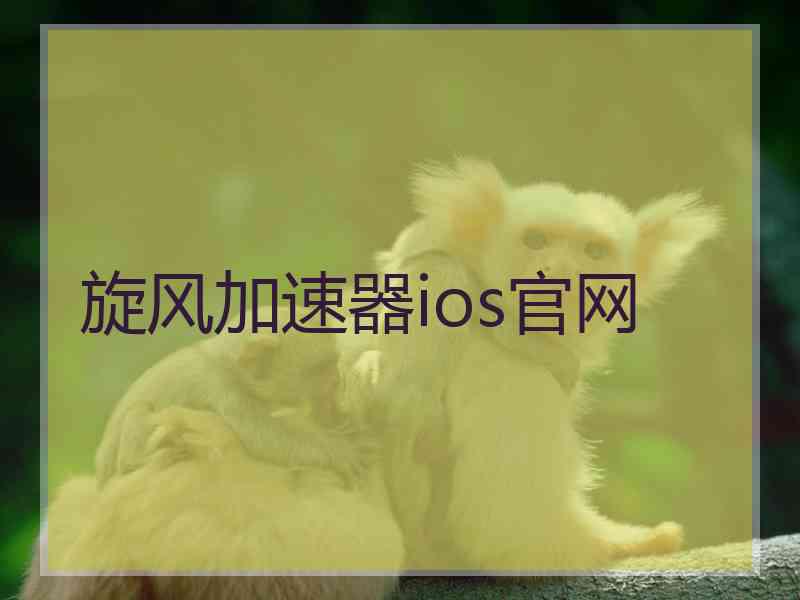 旋风加速器ios官网