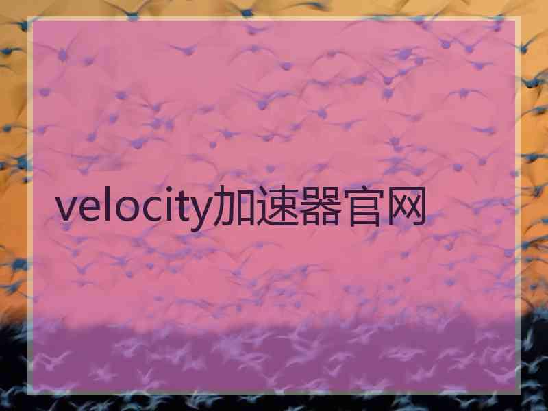 velocity加速器官网