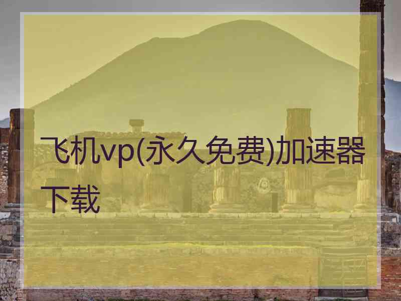 飞机vp(永久免费)加速器下载