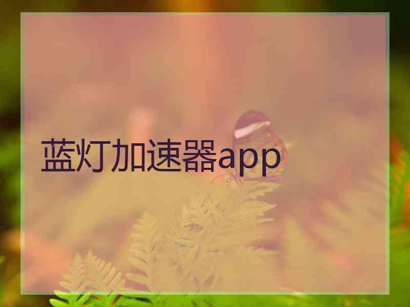 蓝灯加速器app