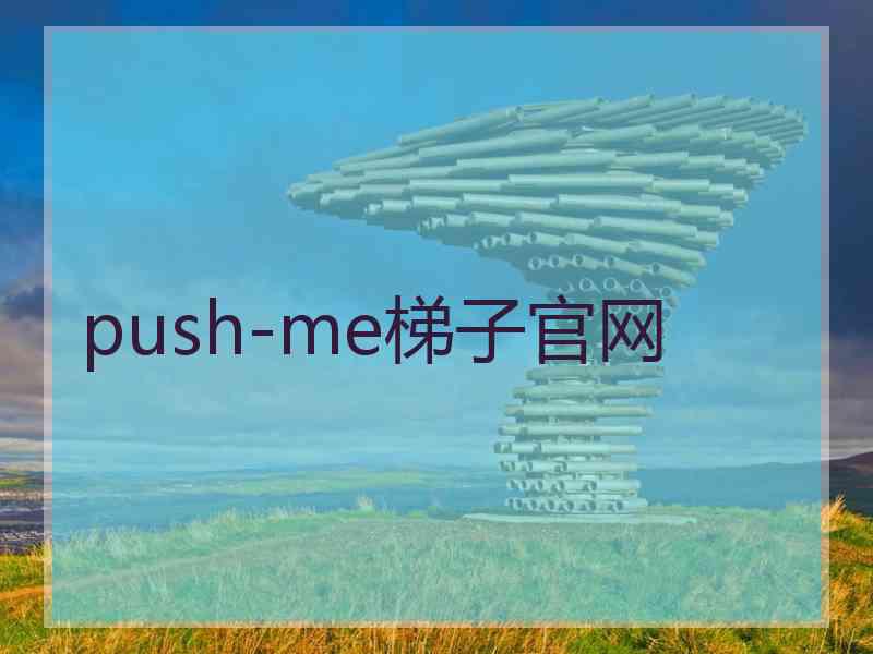 push-me梯子官网