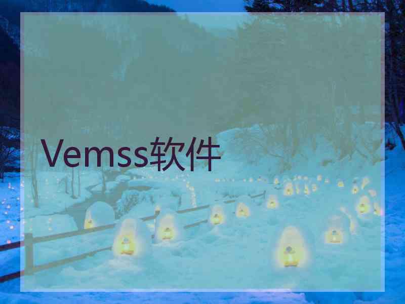 Vemss软件