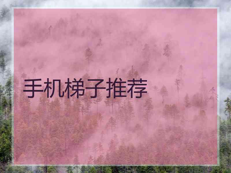 手机梯子推荐