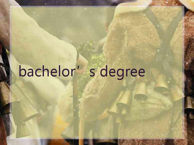 bachelor’s degree