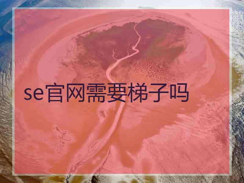 se官网需要梯子吗