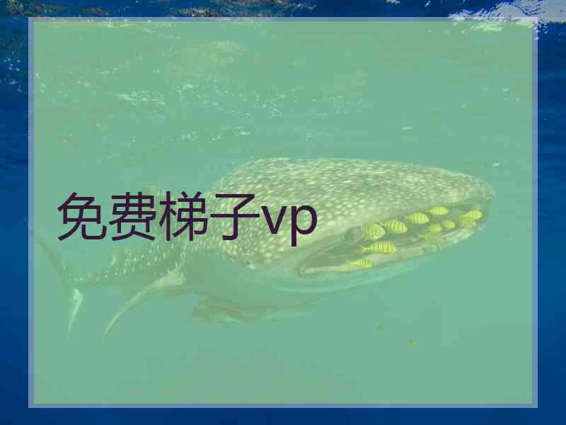 免费梯子vp