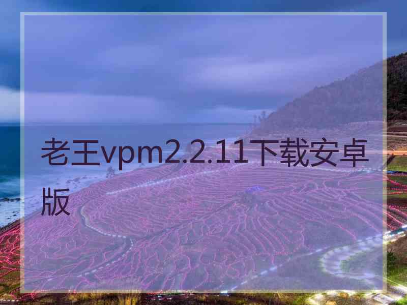 老王vpm2.2.11下载安卓版