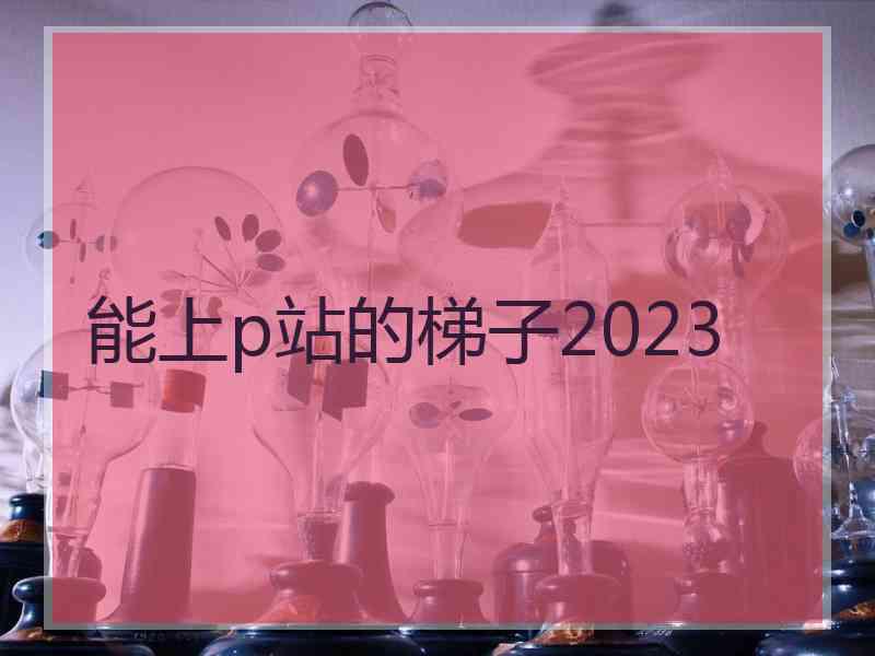 能上p站的梯子2023