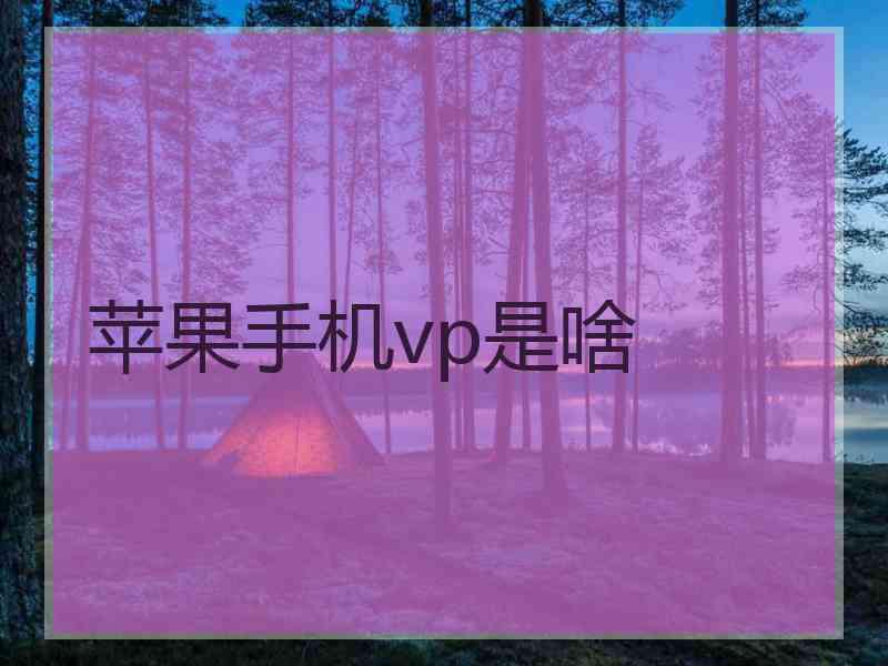 苹果手机vp是啥